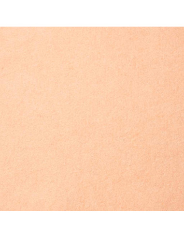 Felt Salmon - 1 mm